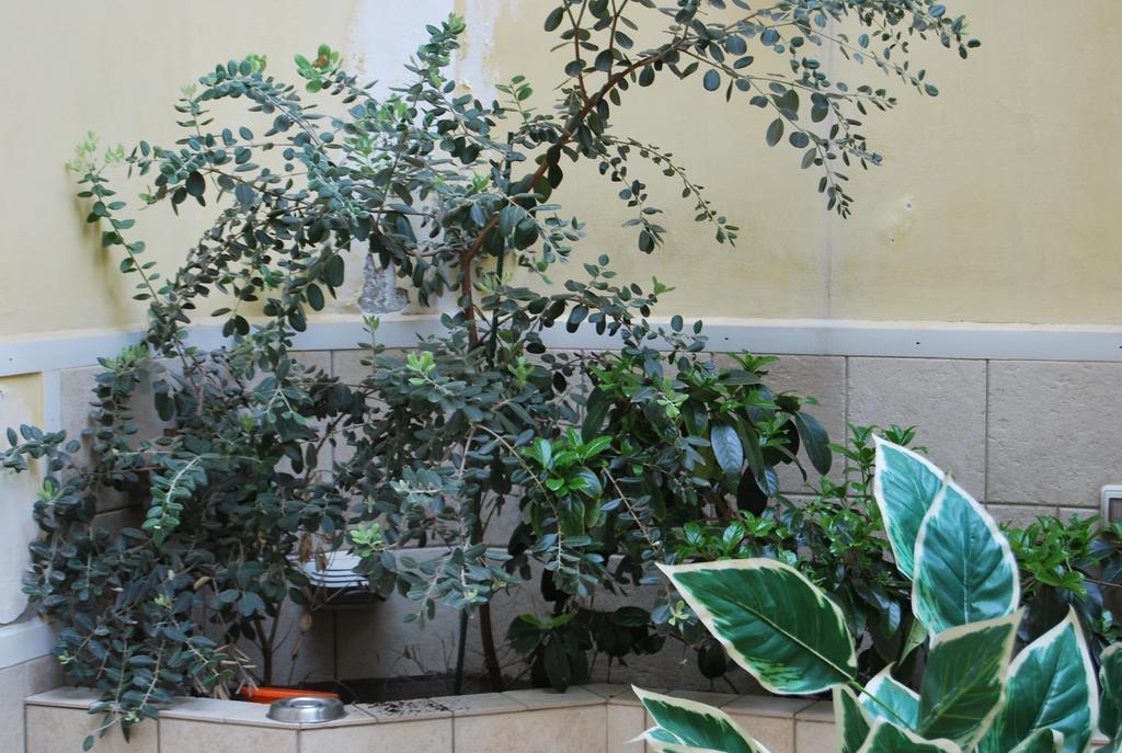 Appartement Casa Francesca